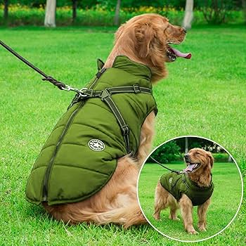 HydroHound Jacket
